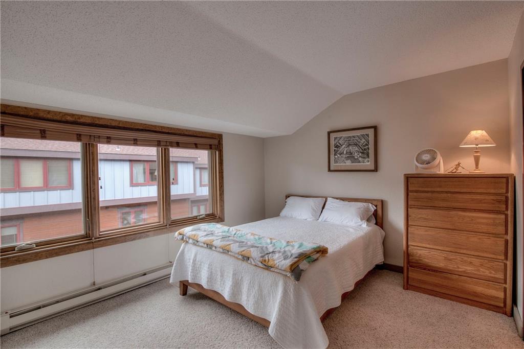 200 Primrose Path, Unit 11 Breckenridge, CO 80424 - Photo 19 of 28