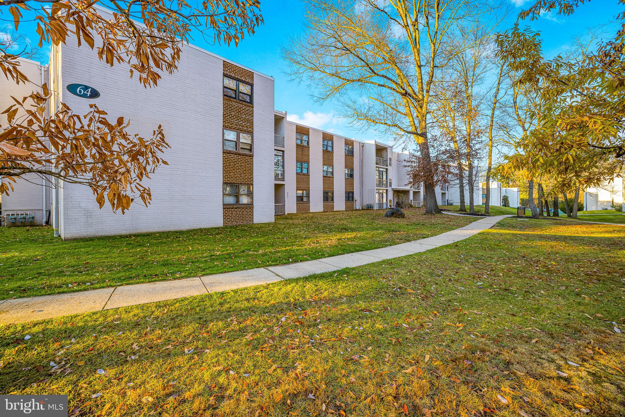 a swimming pool with trees in front of it
