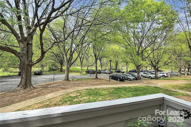 a view of a yard with large tree