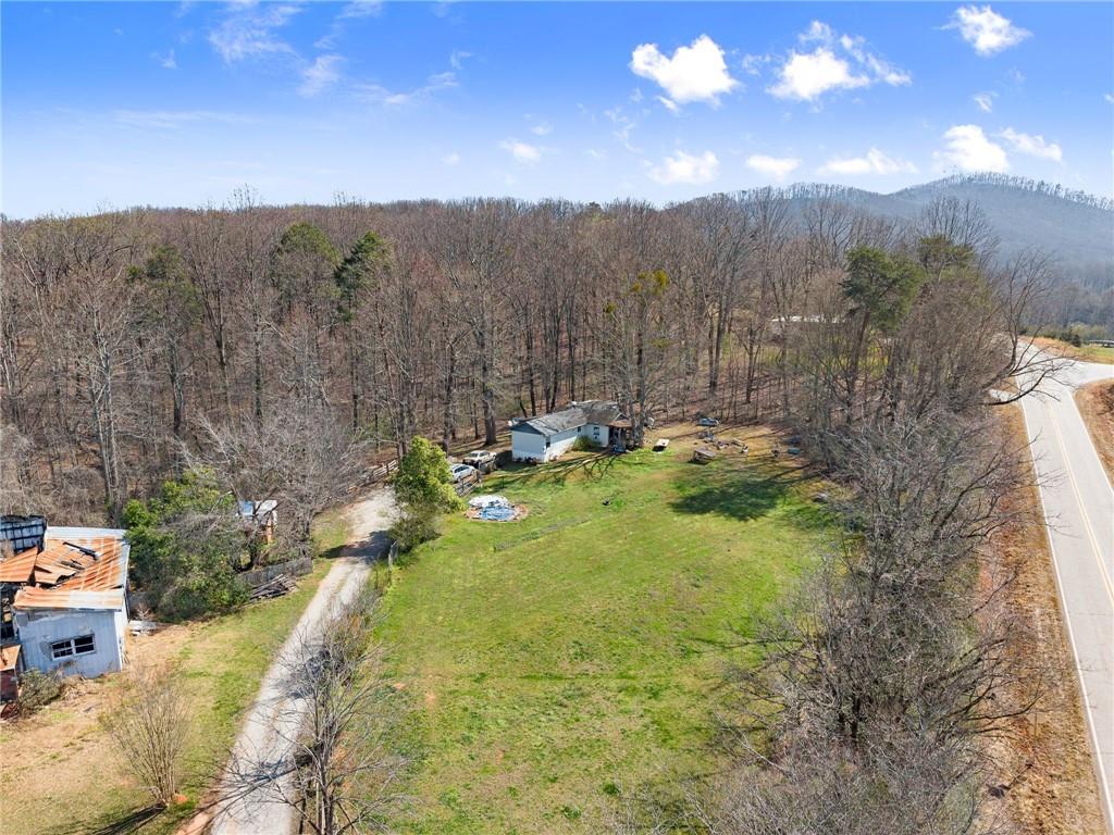 111 Skitts Mountain Road Cleveland, GA 30528 - Photo 9 of 67