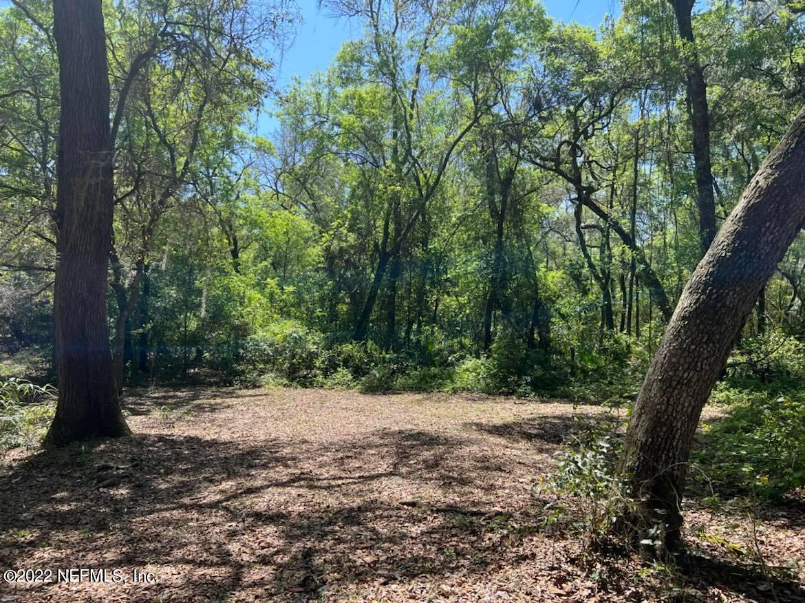1776 Bellamy Road Florahome, FL 32140 - Photo 3 of 12 Land