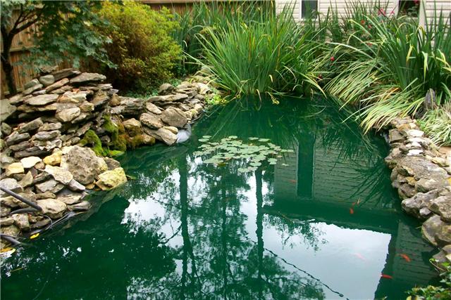2786 Airport Road Centerville, TN 37137 - Photo 5 of 12 Koi Fish Pond