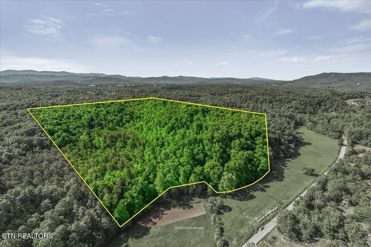 Shadden Road Tellico Plains, TN 37385 - Photo 2 of 17 17-Shaddon Road2