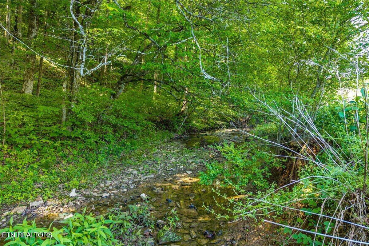 Shadden Road Tellico Plains, TN 37385 - Photo 4 of 17 07-00 Shaddon Rd-13