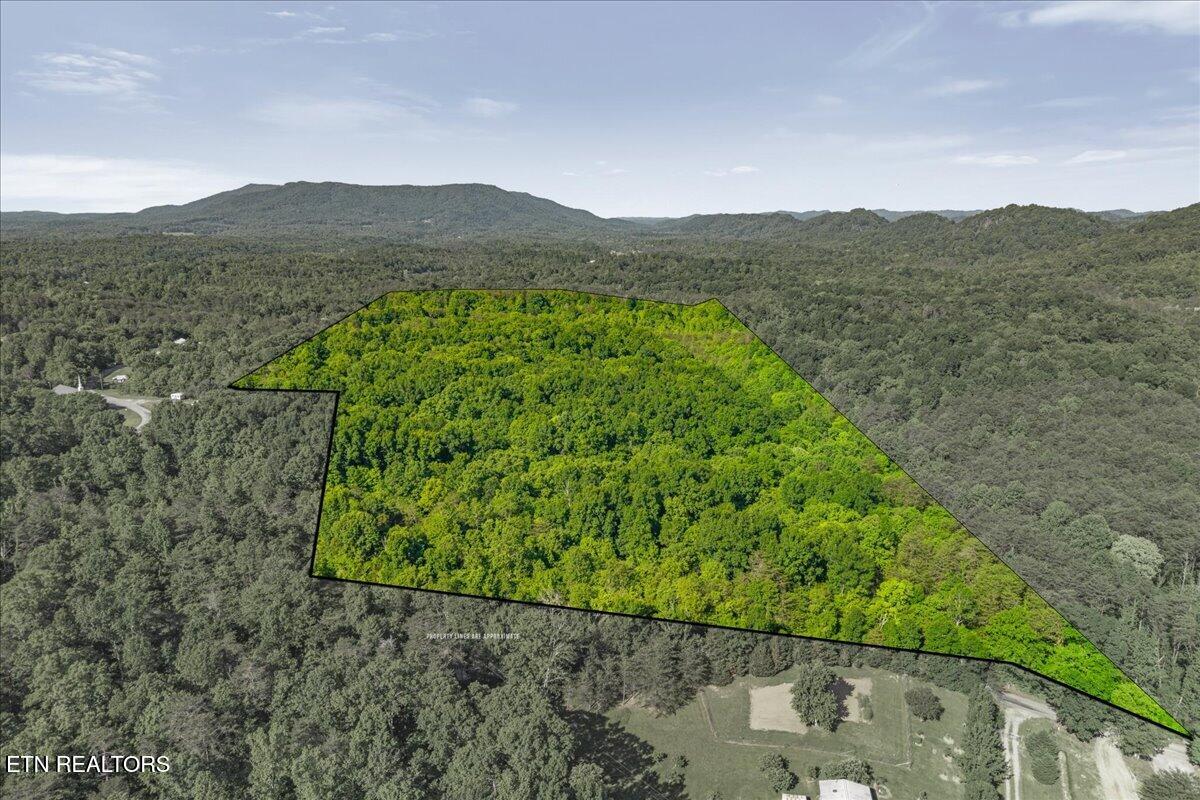 Shadden Road Tellico Plains, TN 37385 - Photo 8 of 17 12-00 Shaddon Rd-3
