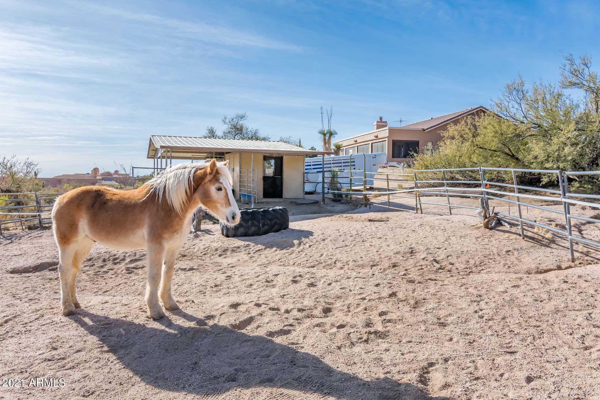43003 North Old Mine Road Scottsdale, AZ 85262 - Photo 59 of 76 43003 N Old Mine Rd - MLS61-61