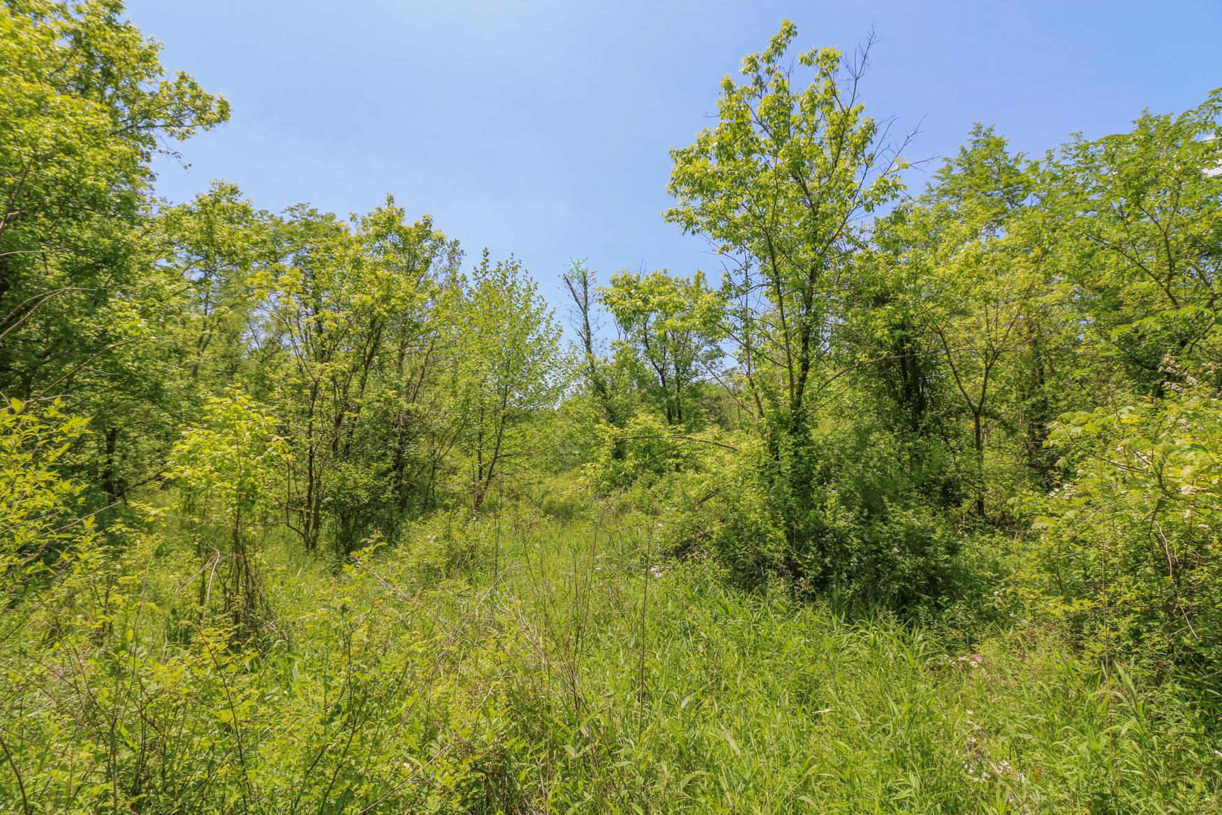 0 Sr 555 Road Philo, OH 43771 - Photo 15 of 45