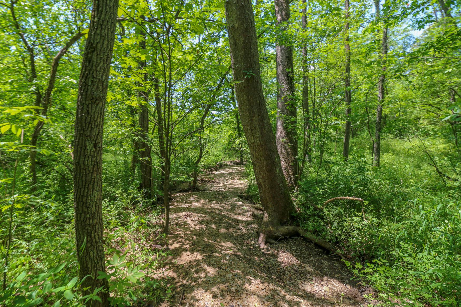 0 Sr 555 Road Philo, OH 43771 - Photo 16 of 45