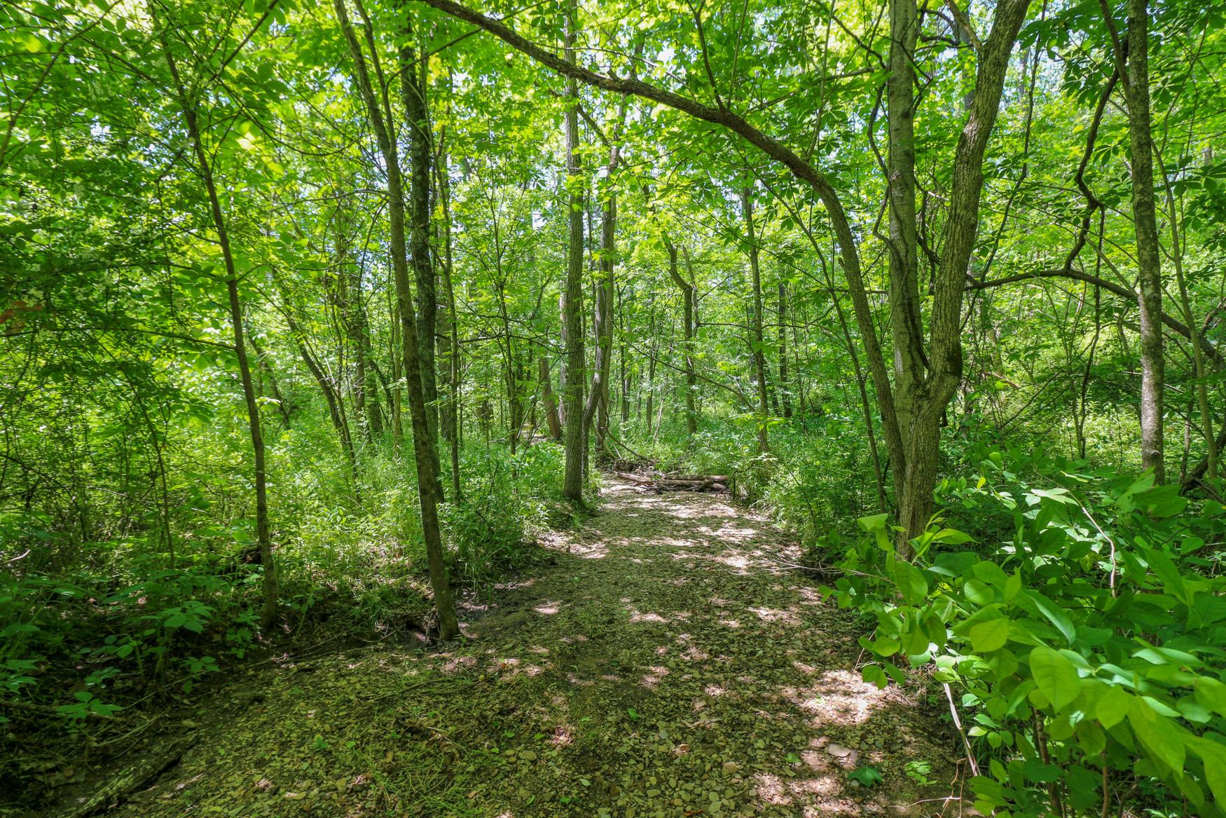 0 Sr 555 Road Philo, OH 43771 - Photo 17 of 45