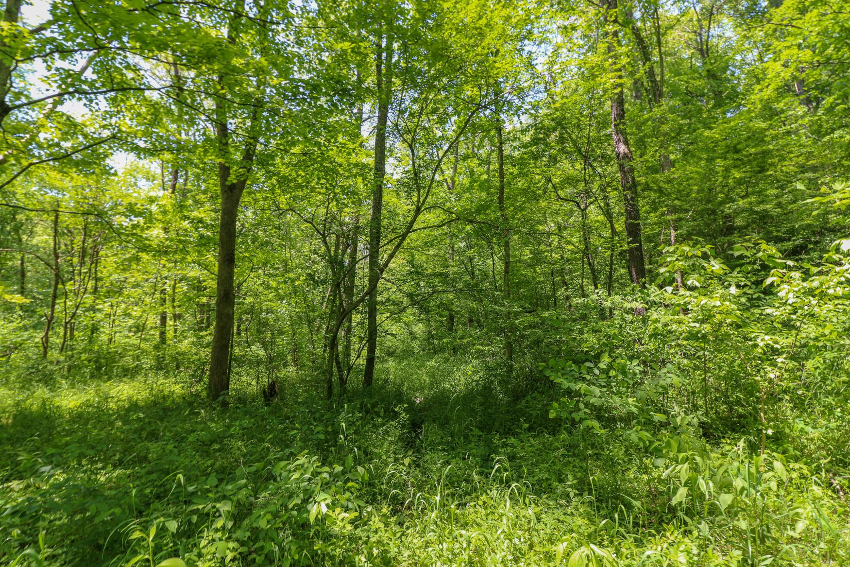0 Sr 555 Road Philo, OH 43771 - Photo 18 of 45