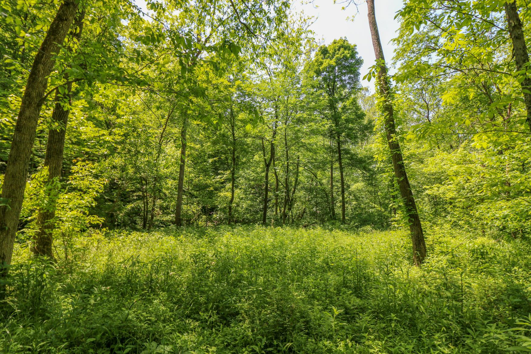 0 Sr 555 Road Philo, OH 43771 - Photo 20 of 45