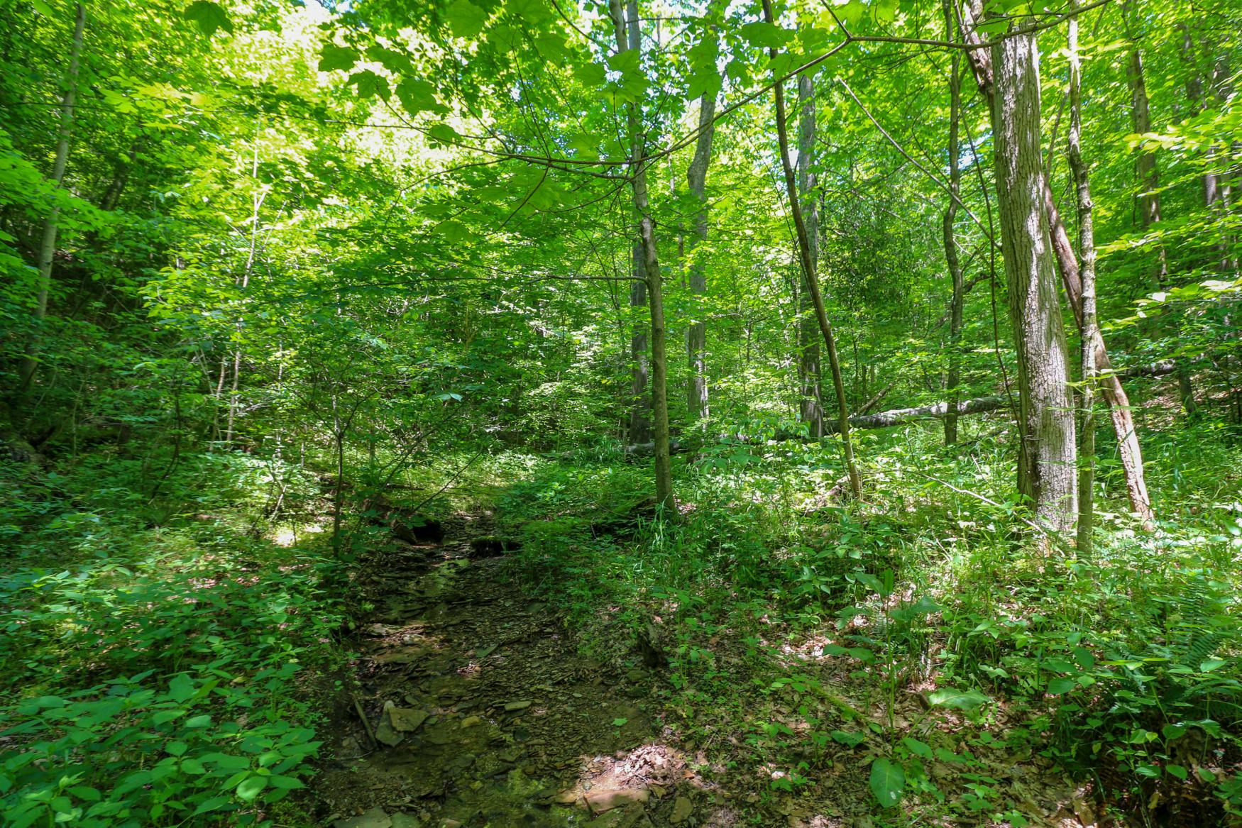 0 Sr 555 Road Philo, OH 43771 - Photo 23 of 45