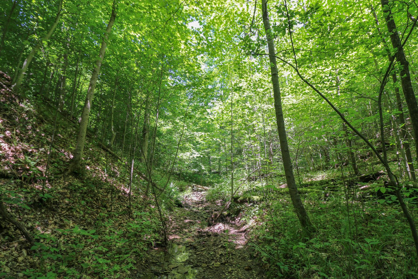 0 Sr 555 Road Philo, OH 43771 - Photo 24 of 45