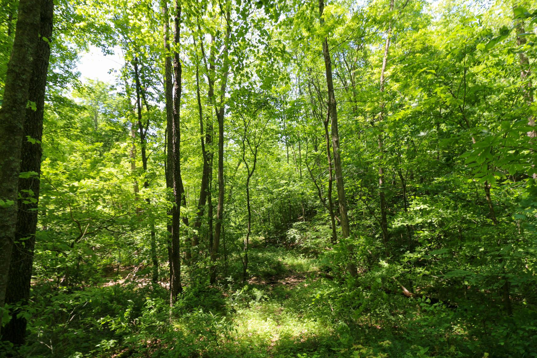 0 Sr 555 Road Philo, OH 43771 - Photo 25 of 45