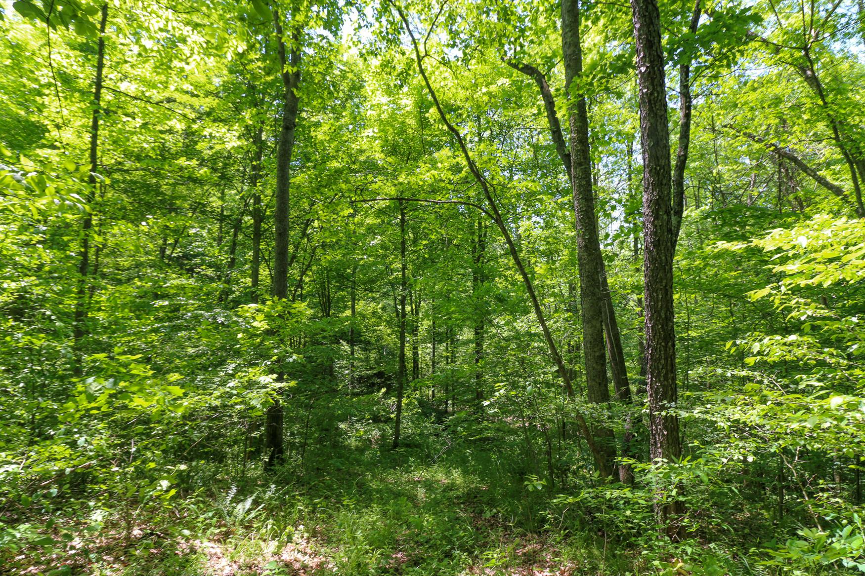 0 Sr 555 Road Philo, OH 43771 - Photo 26 of 45