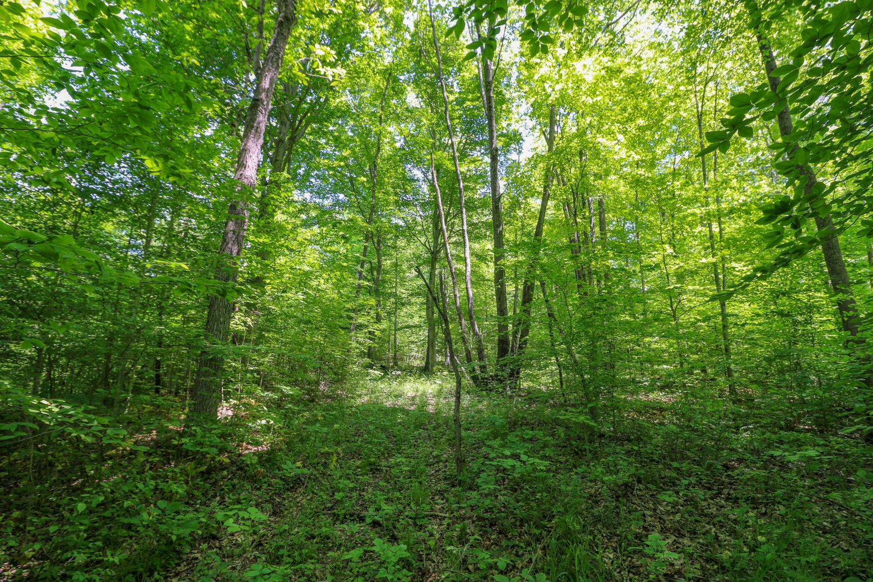 0 Sr 555 Road Philo, OH 43771 - Photo 27 of 45