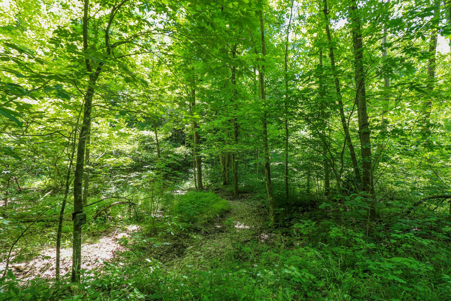 0 Sr 555 Road Philo, OH 43771 - Photo 28 of 45