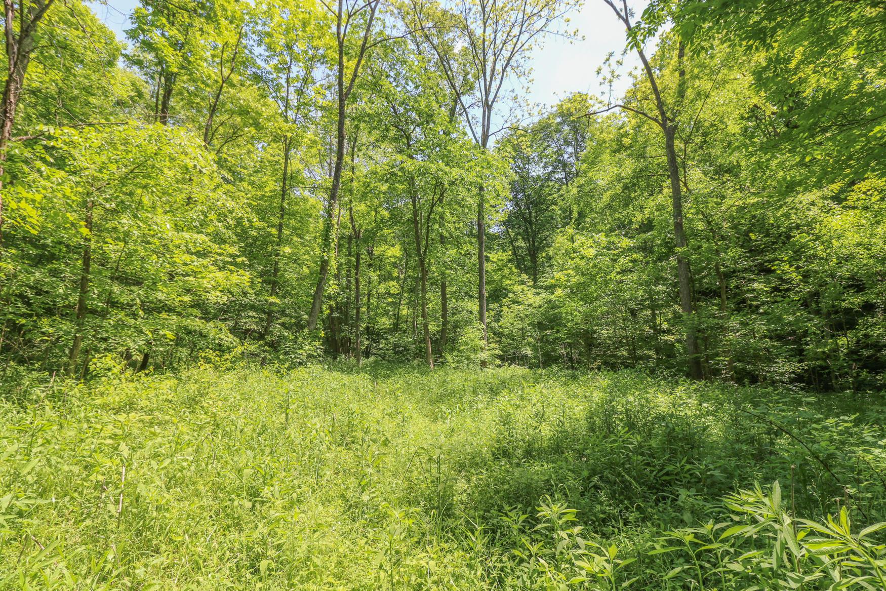 0 Sr 555 Road Philo, OH 43771 - Photo 30 of 45