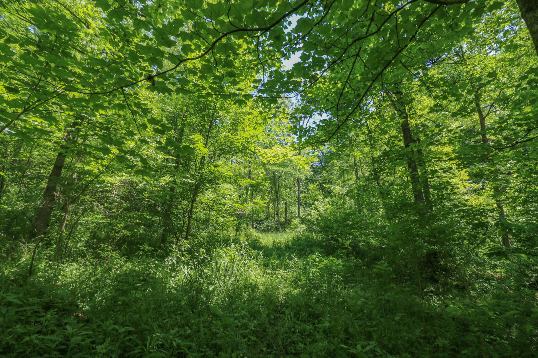 0 Sr 555 Road Philo, OH 43771 - Photo 31 of 45