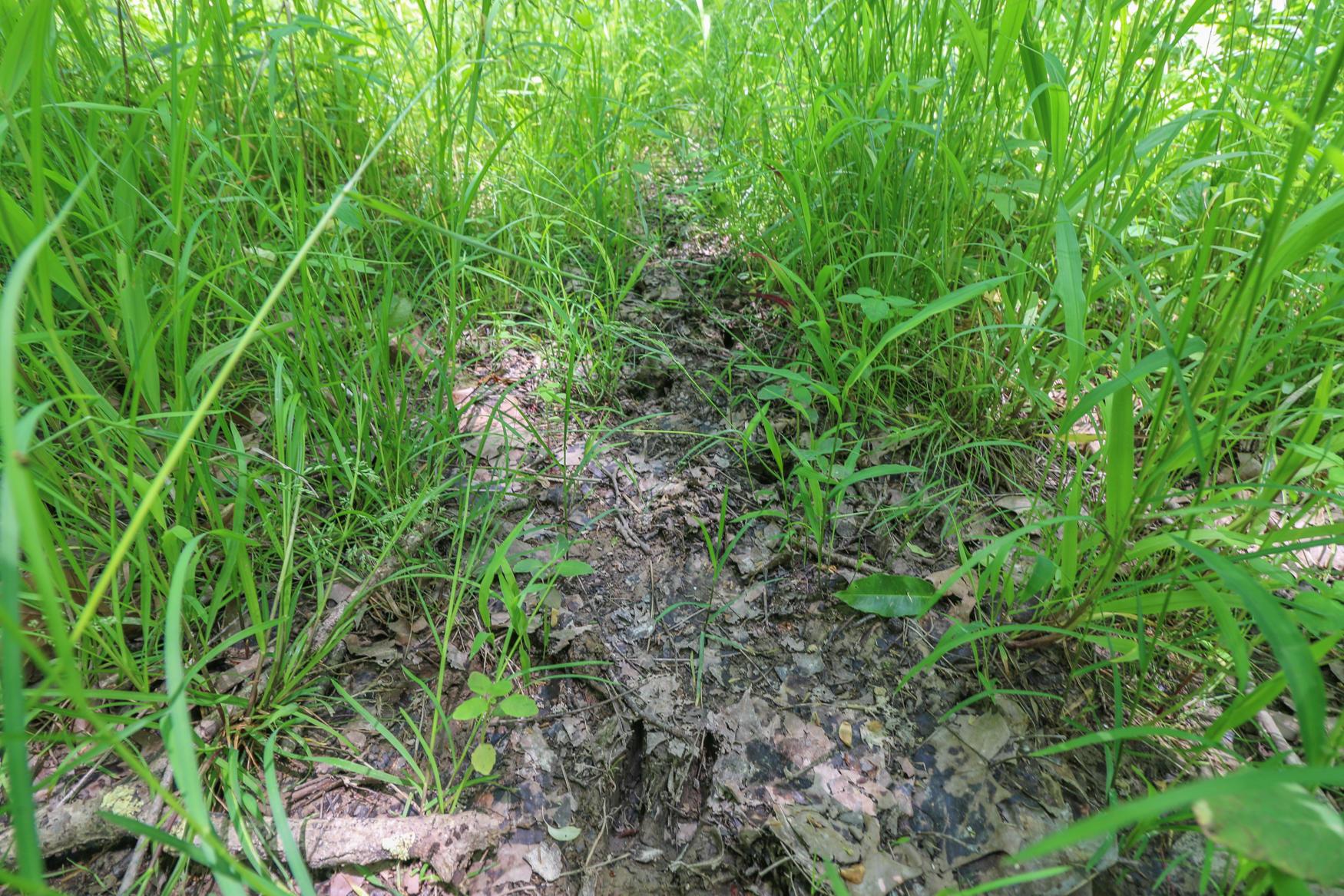 0 Sr 555 Road Philo, OH 43771 - Photo 32 of 45