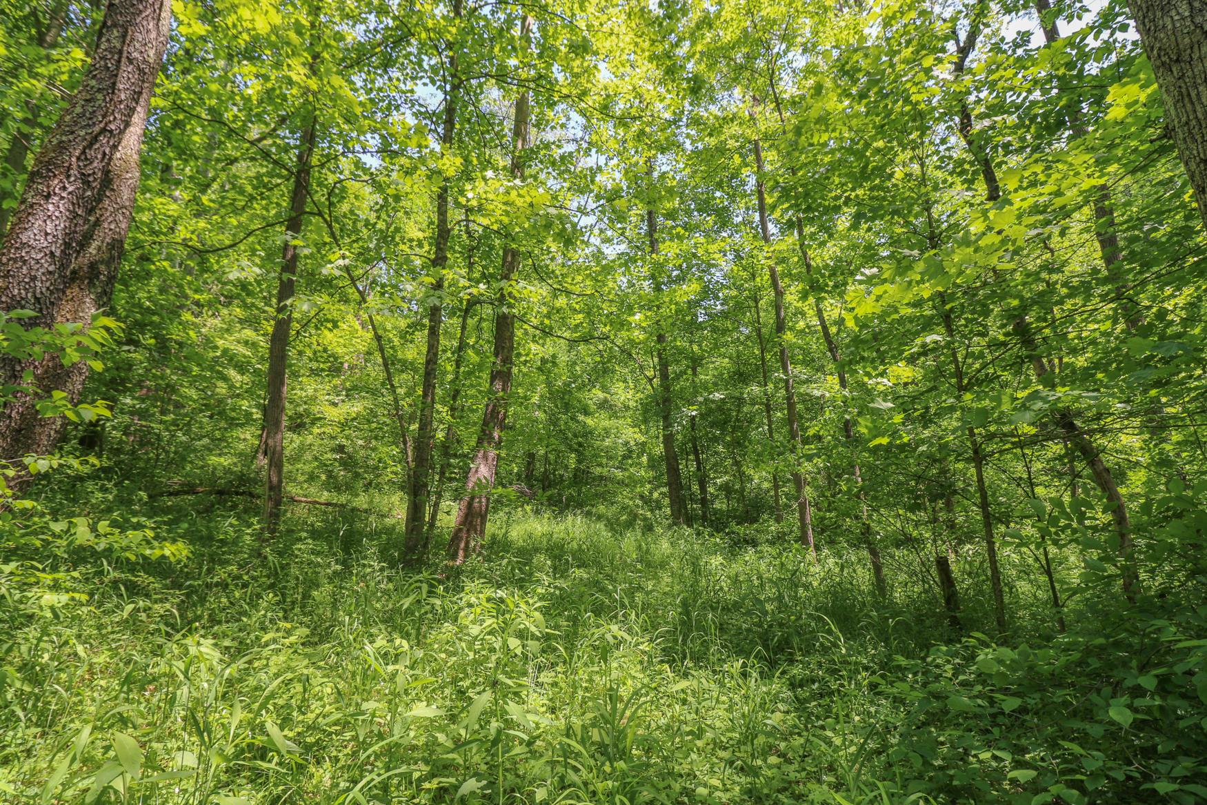 0 Sr 555 Road Philo, OH 43771 - Photo 33 of 45