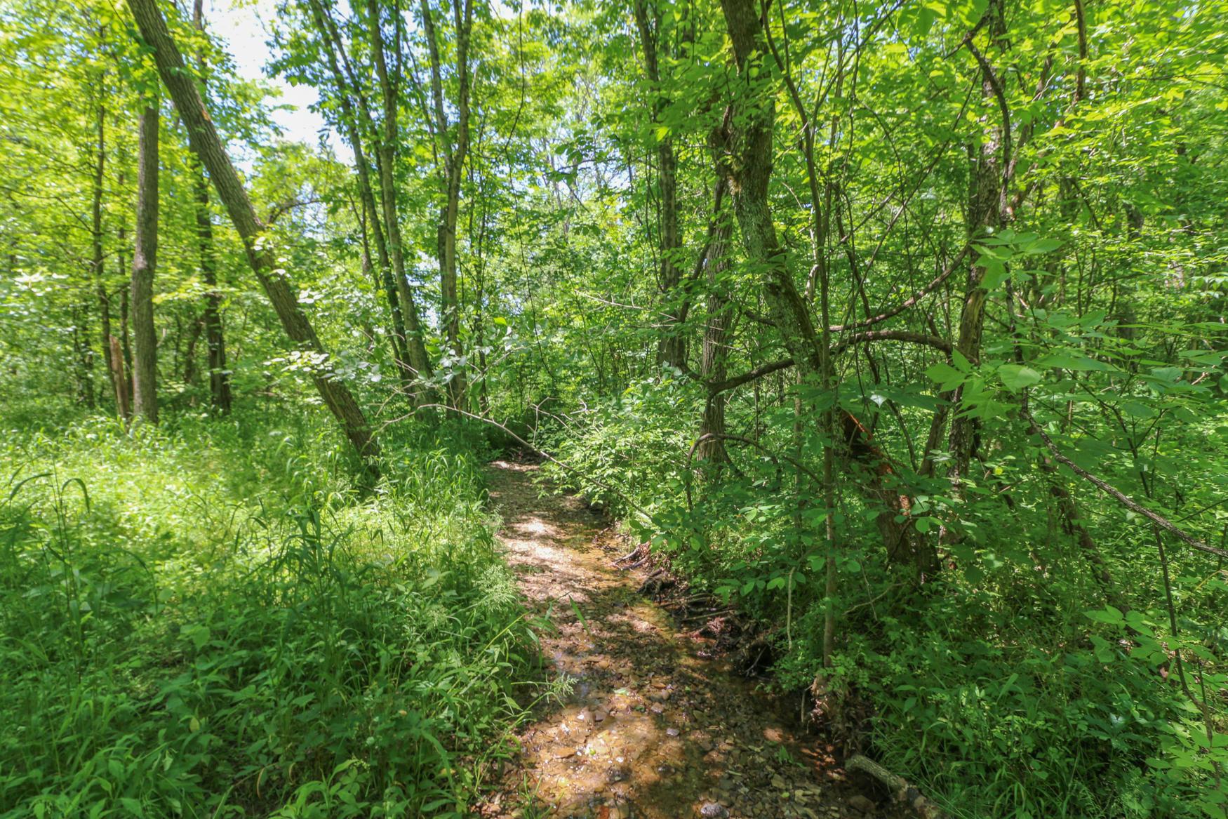 0 Sr 555 Road Philo, OH 43771 - Photo 35 of 45