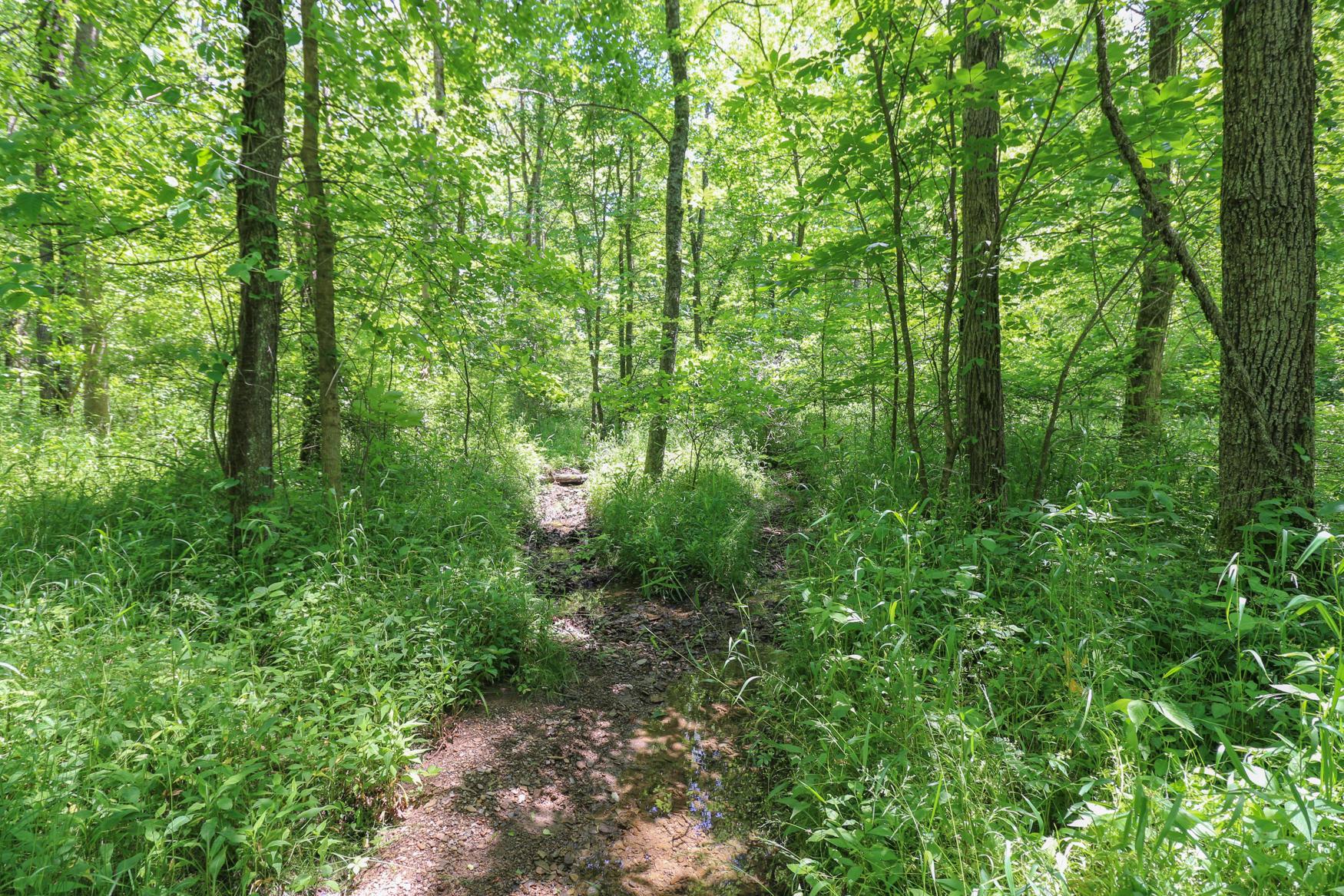 0 Sr 555 Road Philo, OH 43771 - Photo 36 of 45