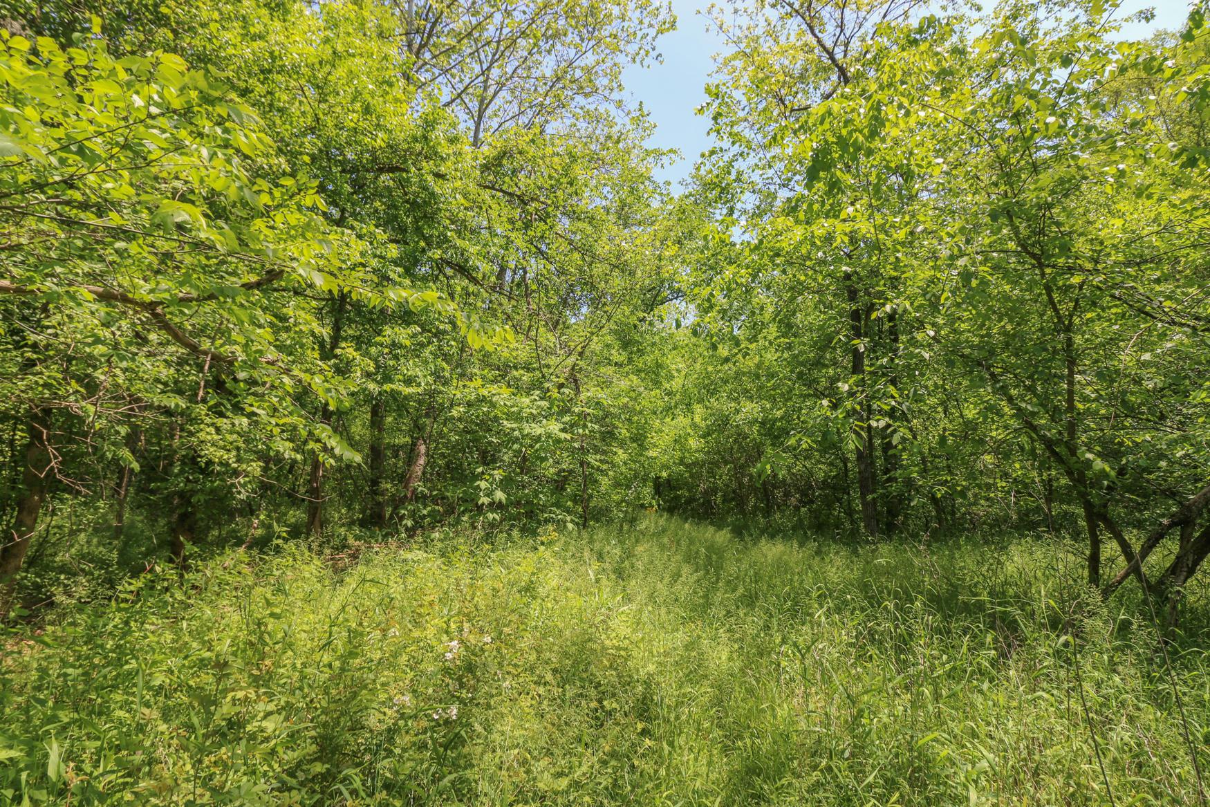 0 Sr 555 Road Philo, OH 43771 - Photo 37 of 45