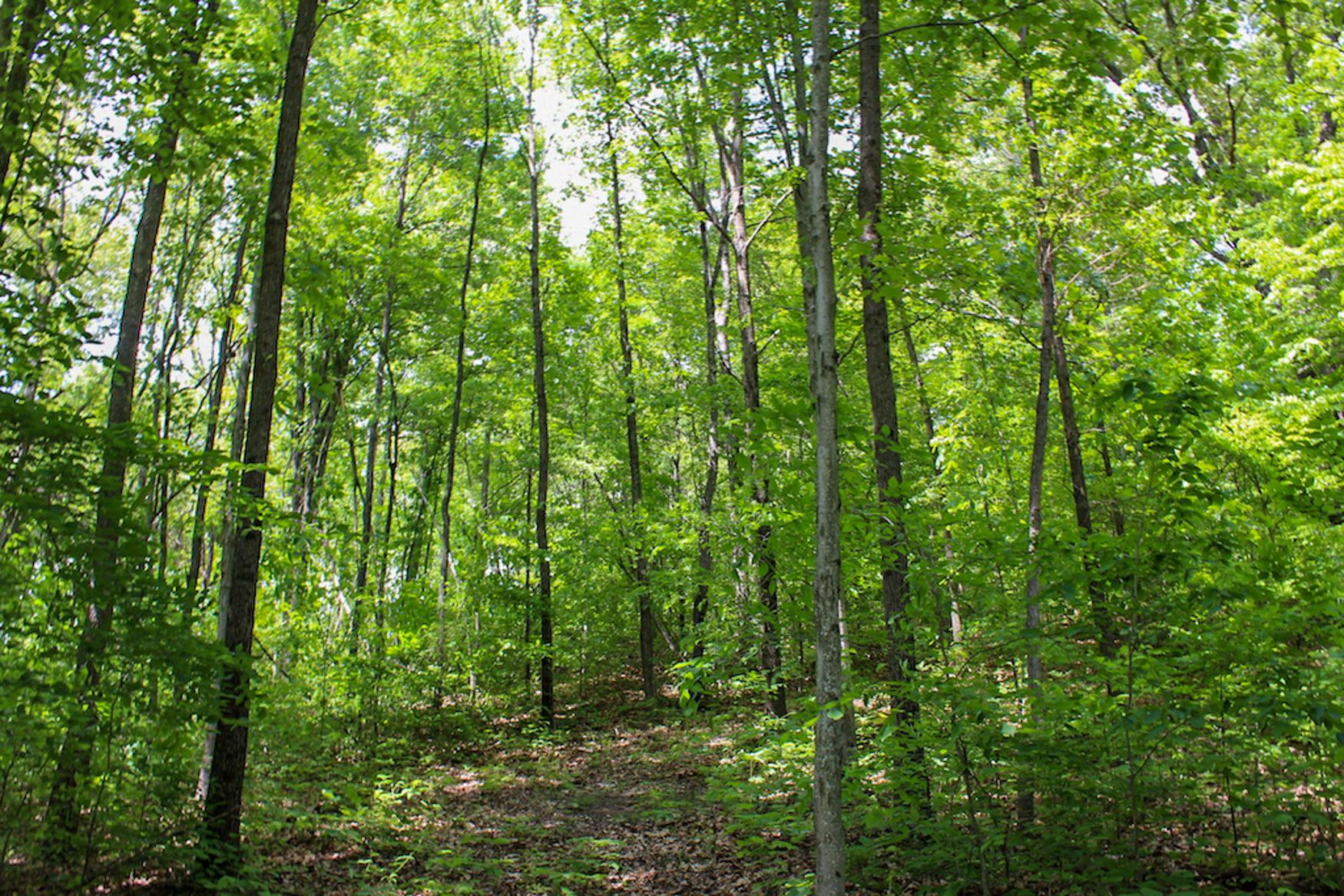0 Sr 555 Road Philo, OH 43771 - Photo 43 of 45