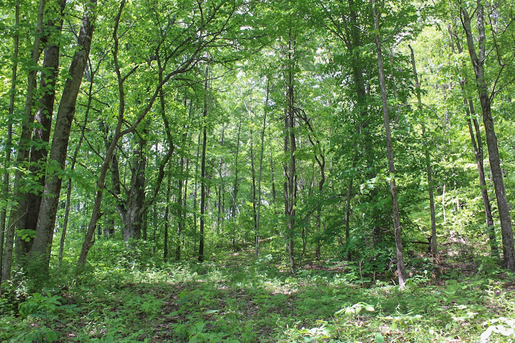 0 Sr 555 Road Philo, OH 43771 - Photo 44 of 45