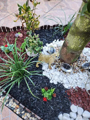 a bunch of flowers are in a garden