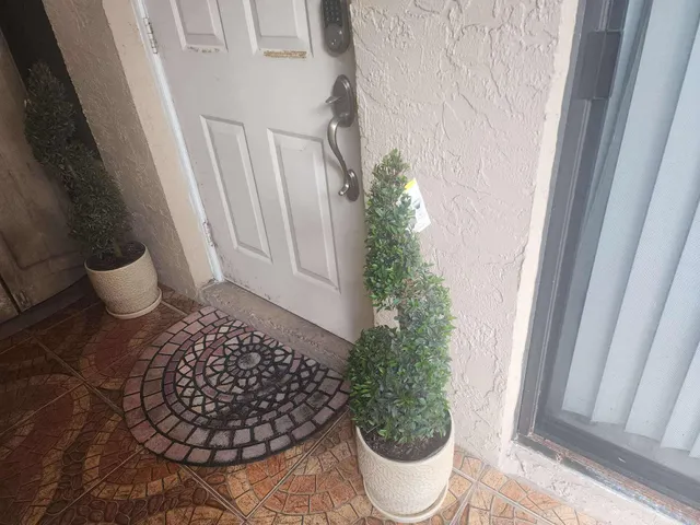 a bathroom with a toilet and a potted plant
