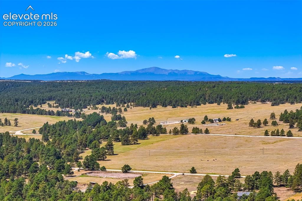 18771 Smokey Pine Road Peyton, CO 80831 - Photo 6 of 50