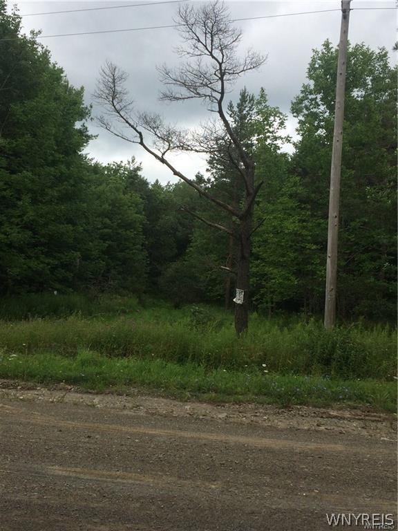 565000 Sodom Road Gainesville, NY 14066 - Photo 1 of 1