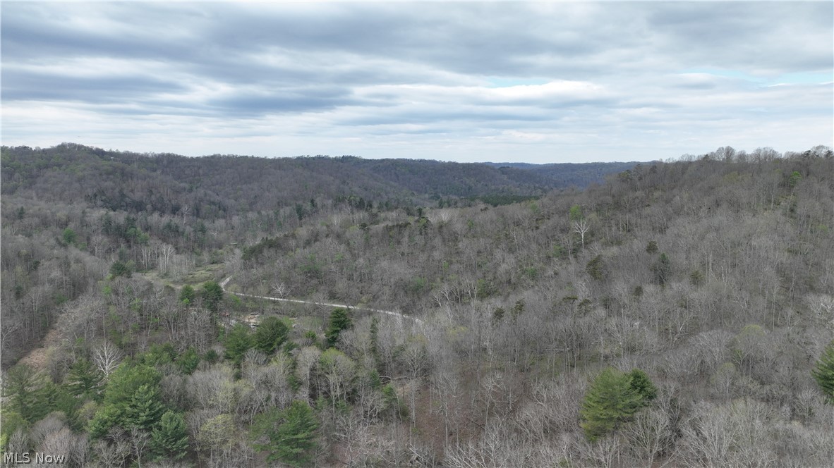 0 Sugar Creek Road Friendly, WV 26146 - Photo 5 of 11