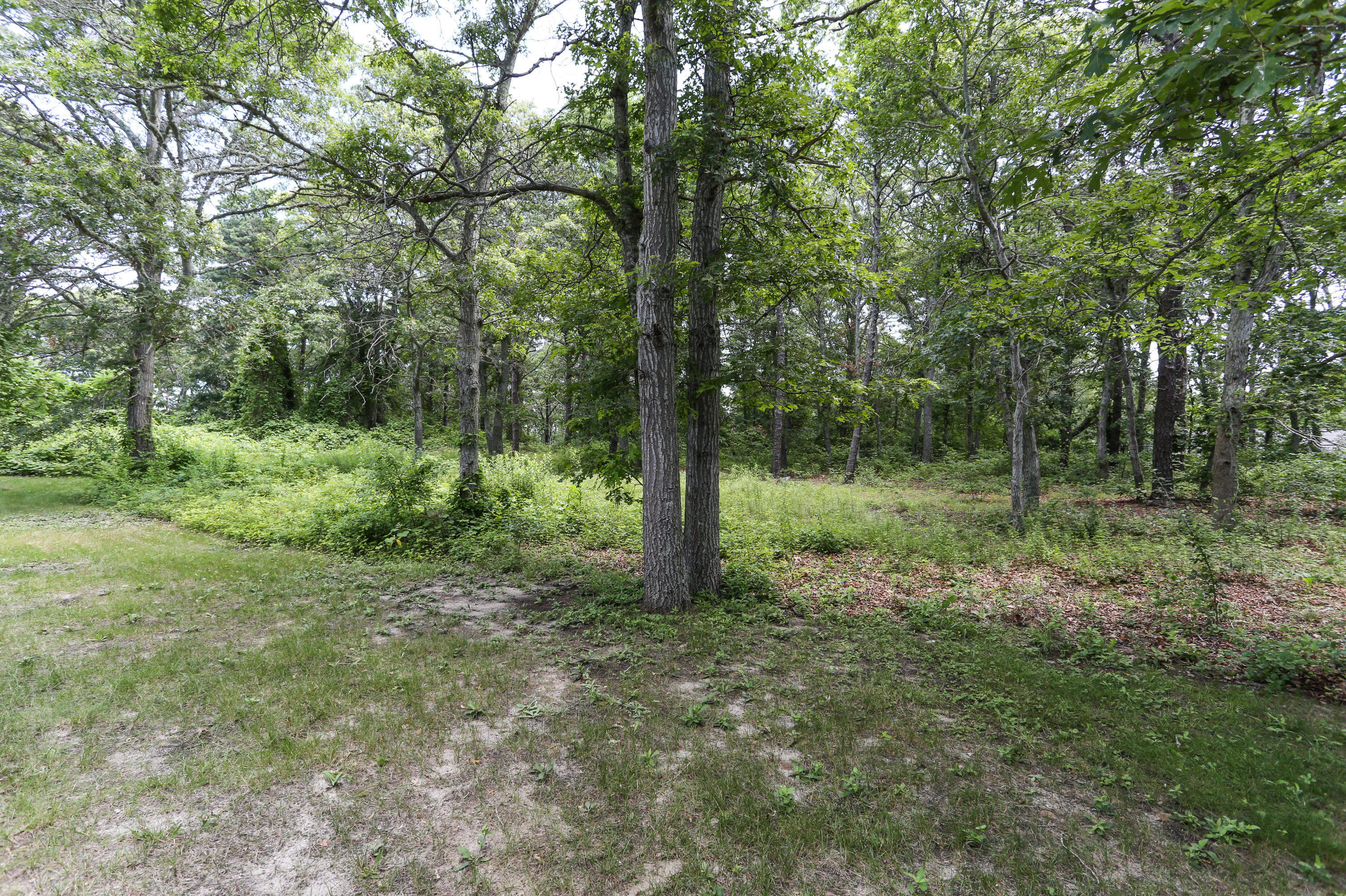 98 Flintrock Road Barnstable, MA 02630 - Photo 31 of 34 98FlinLR-34