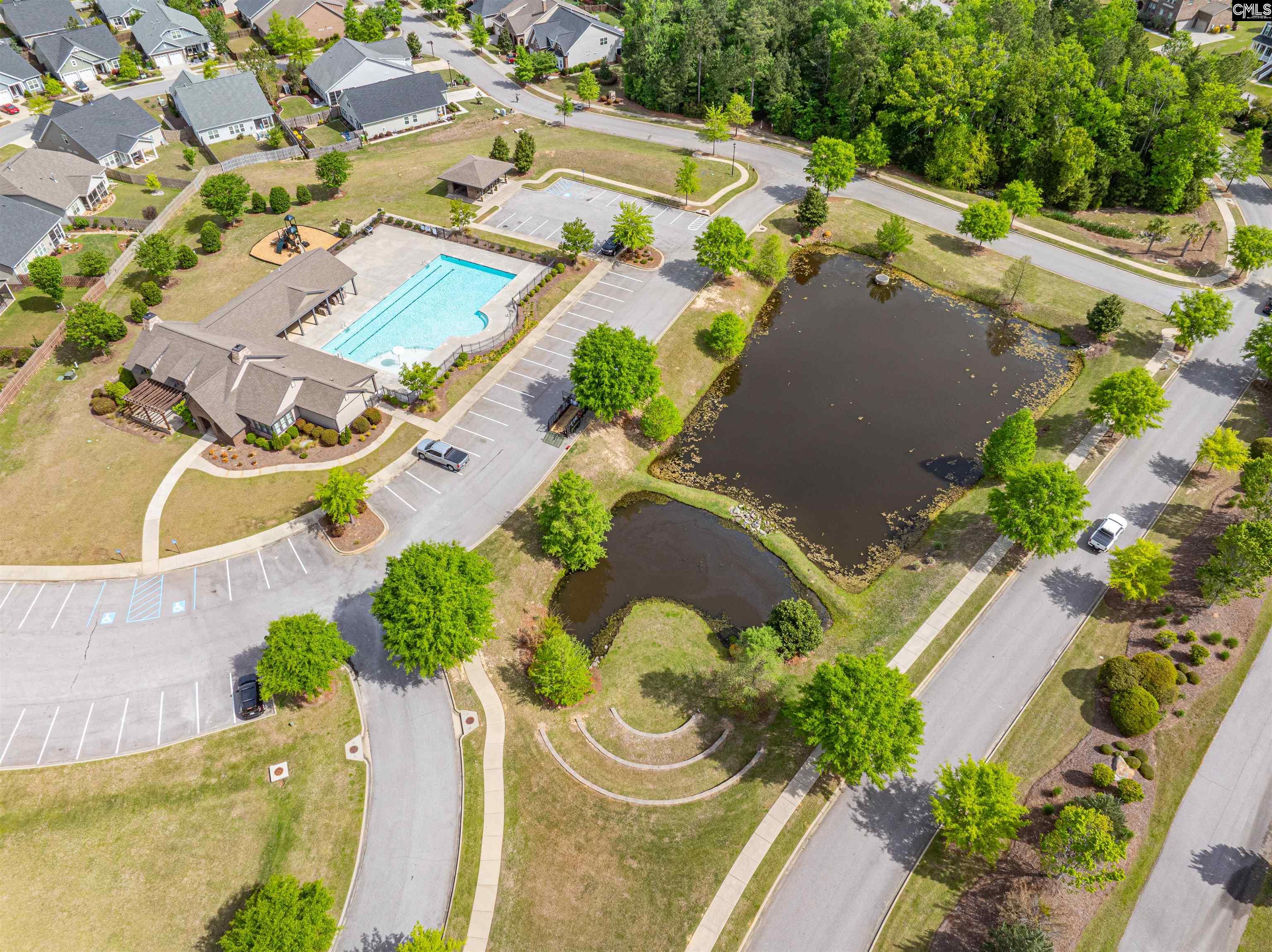 155 Almofini Lane Chapin, SC 29036 - Photo 62 of 65