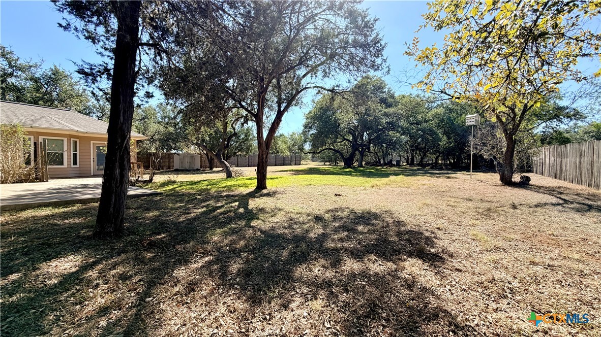 1027 Stagecoach Trail San Marcos, TX 78666 - Photo 34 of 36 a view of a yard with a tree