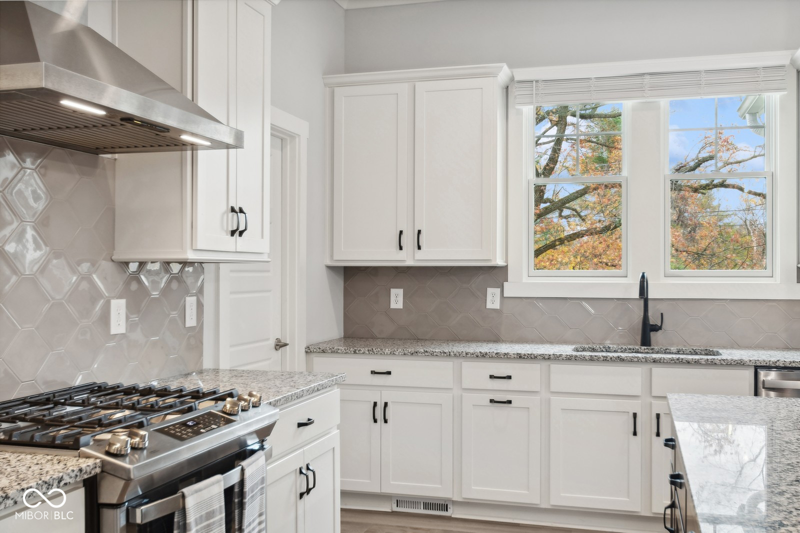 14289 Mccormick Circle Carmel, IN 46033 - Photo 3 of 33