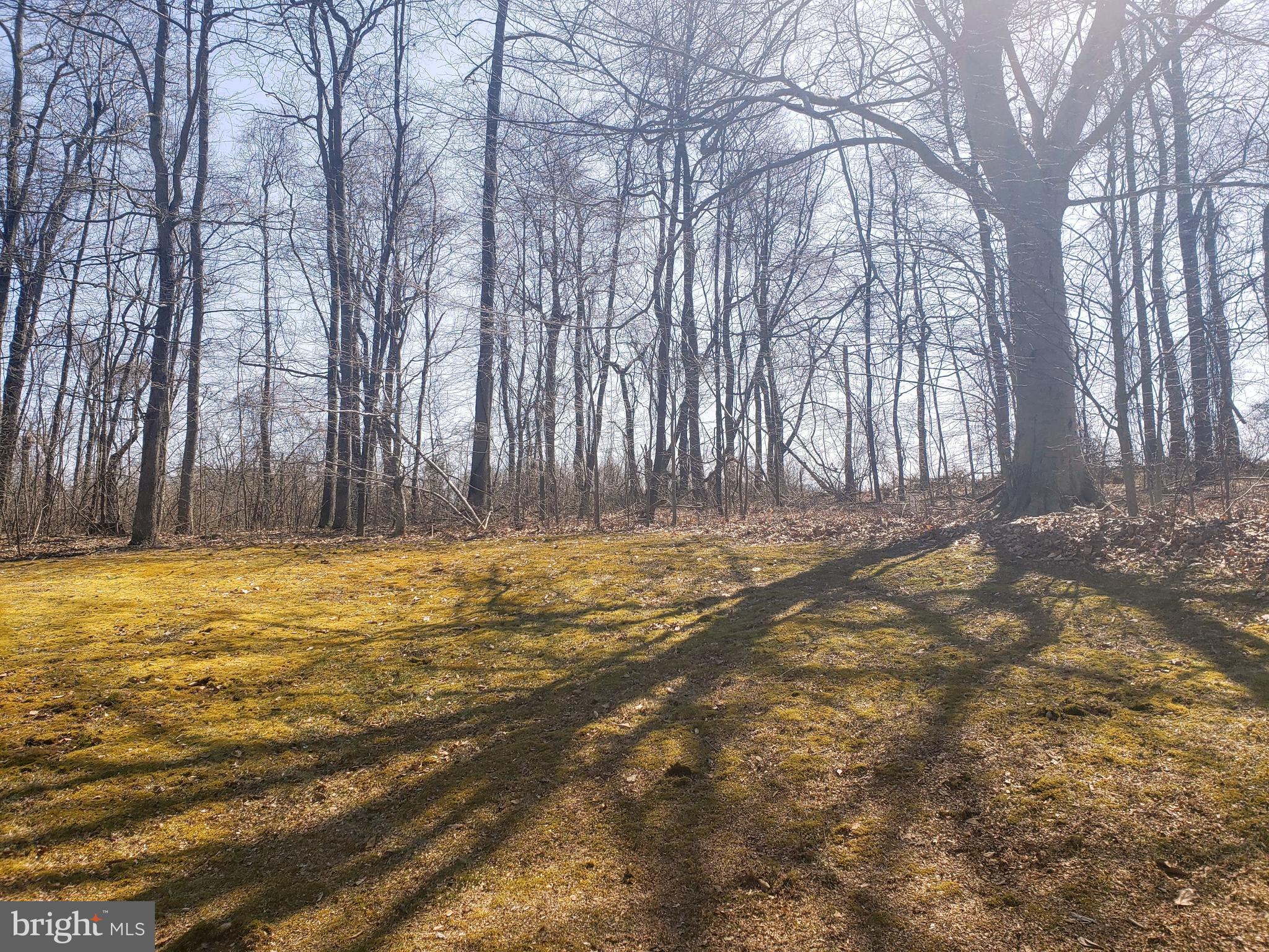 3504 Mill Green Road Street, MD 21154 - Photo 25 of 37 5.27 acres in Street