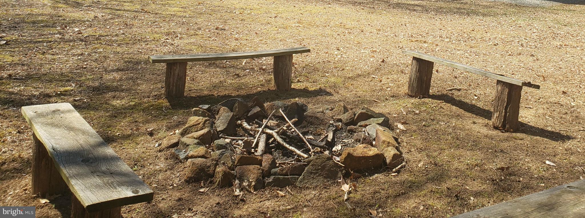 3504 Mill Green Road Street, MD 21154 - Photo 29 of 37 S'mores time!