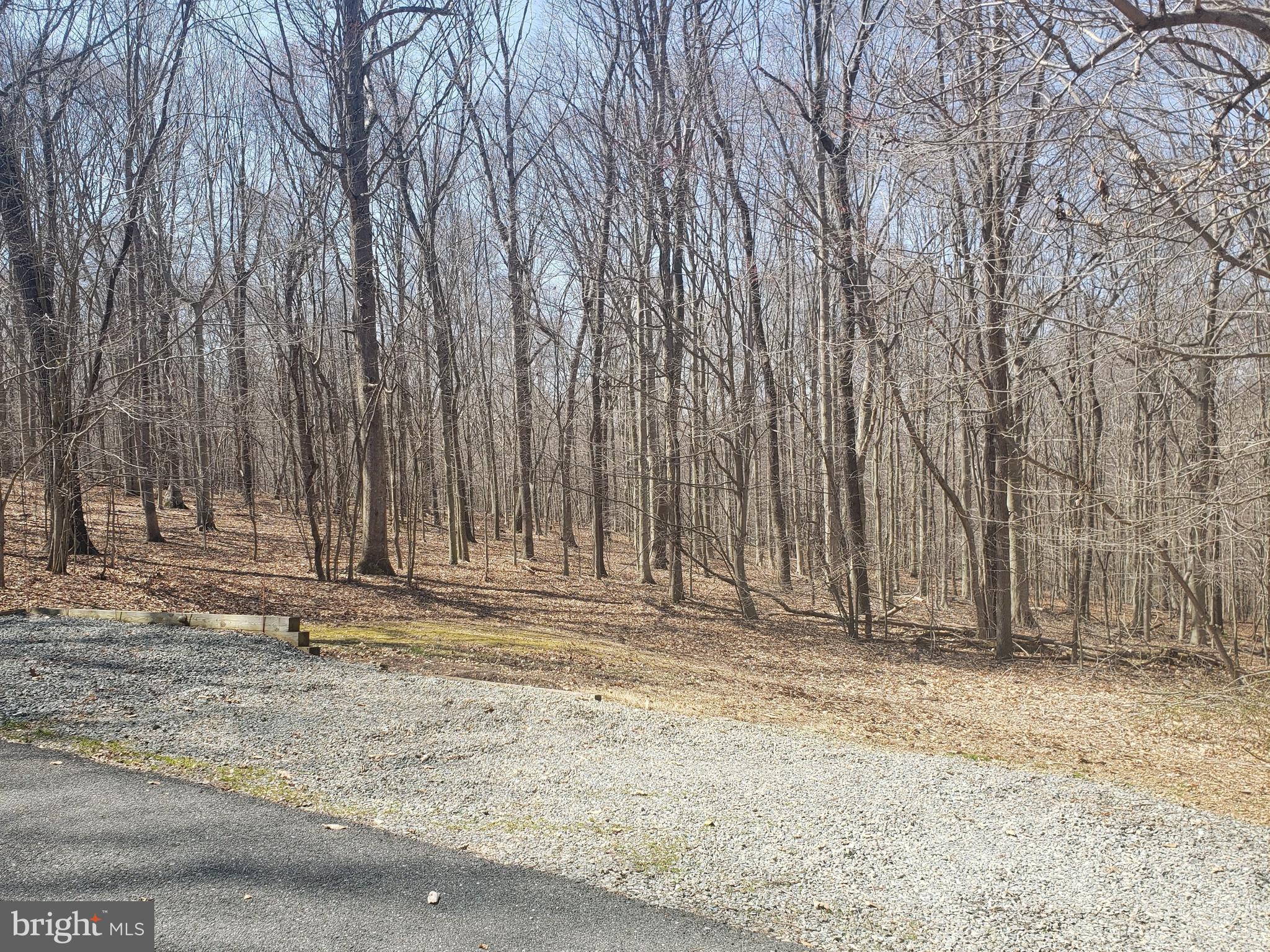 3504 Mill Green Road Street, MD 21154 - Photo 34 of 37 Tree lined driveway