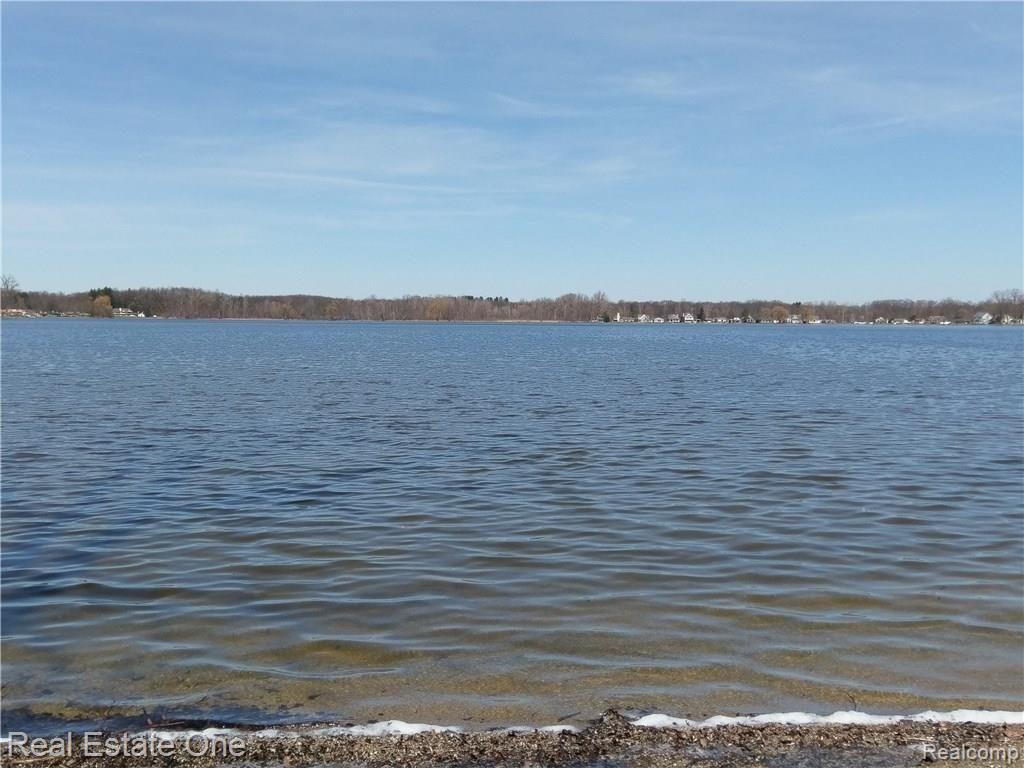 8784 Riverside Drive Brighton, MI 48116 - Photo 8 of 20 IMAG0317.jpg