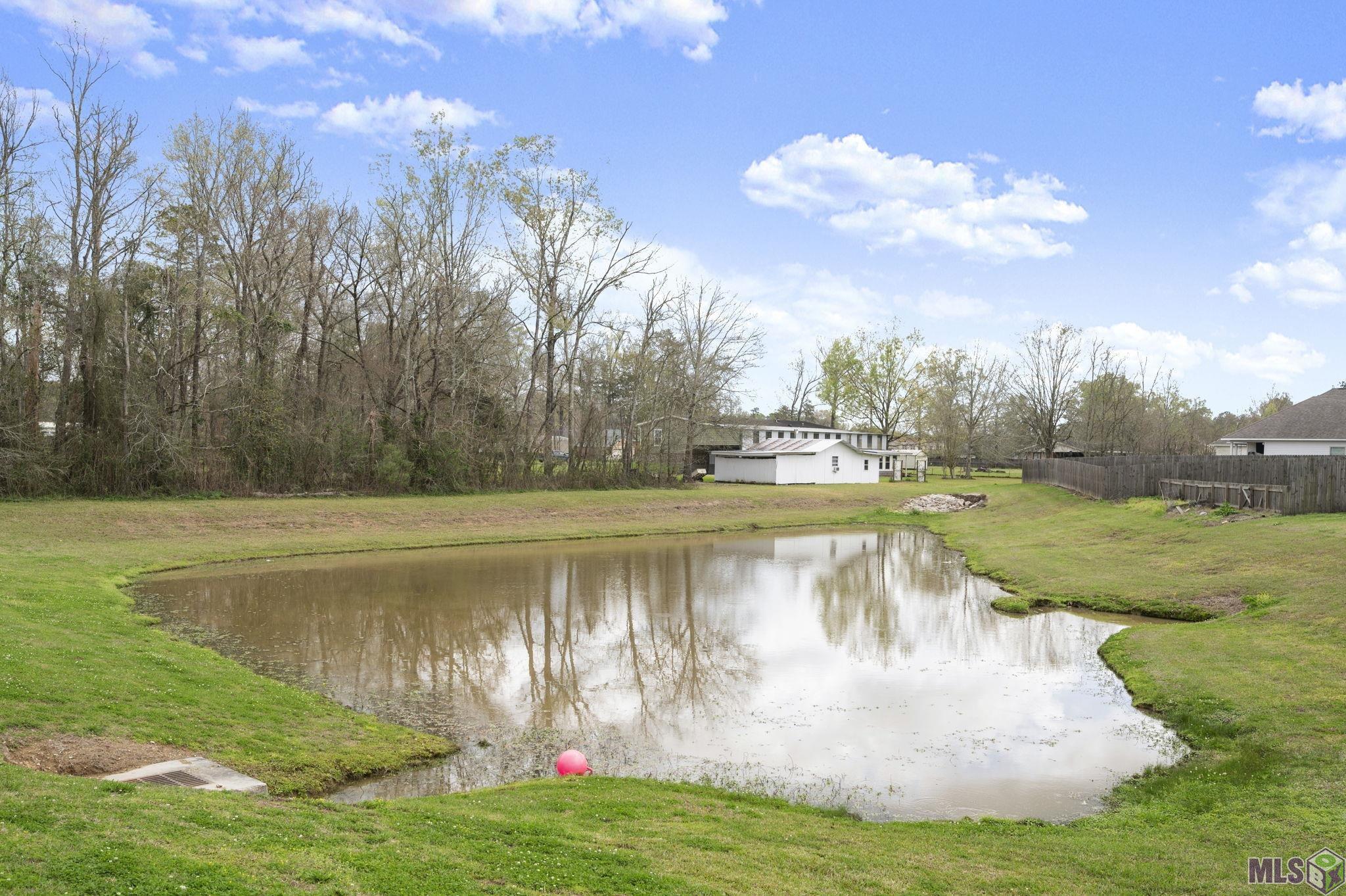 43119 Pointside Avenue Prairieville, LA 70769 - Photo 18 of 25