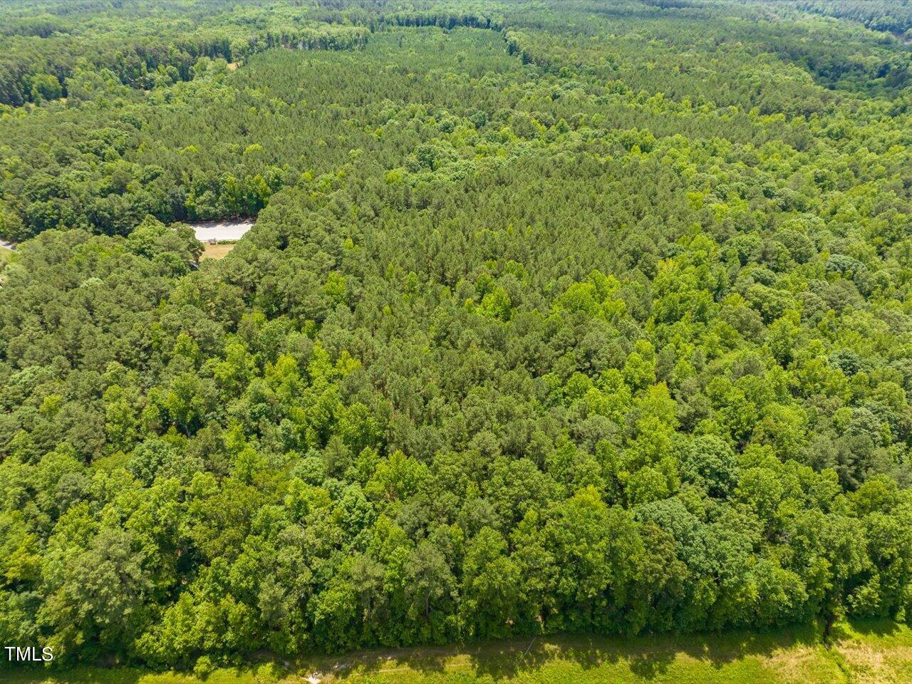 0 J B Morgan Road Apex, NC 27523 - Photo 12 of 39 a view of a green field