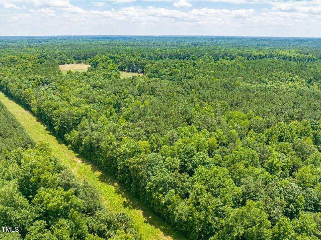 0 J B Morgan Road Apex, NC 27523 - Photo 13 of 39 a view of a green field with lots of bushes