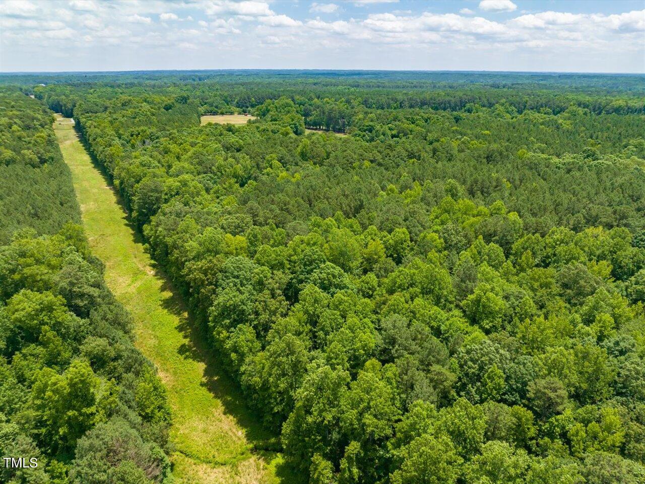 0 J B Morgan Road Apex, NC 27523 - Photo 14 of 39 a view of a big yard with plants and large trees