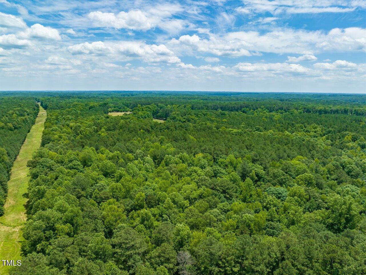 0 J B Morgan Road Apex, NC 27523 - Photo 15 of 39 a view of a green field with lots of bushes
