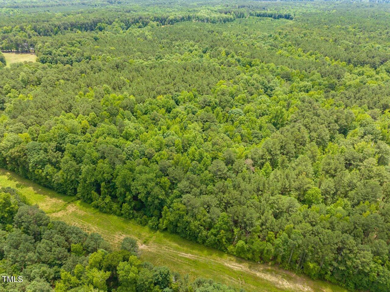 0 J B Morgan Road Apex, NC 27523 - Photo 21 of 39 a view of a field of grass and trees
