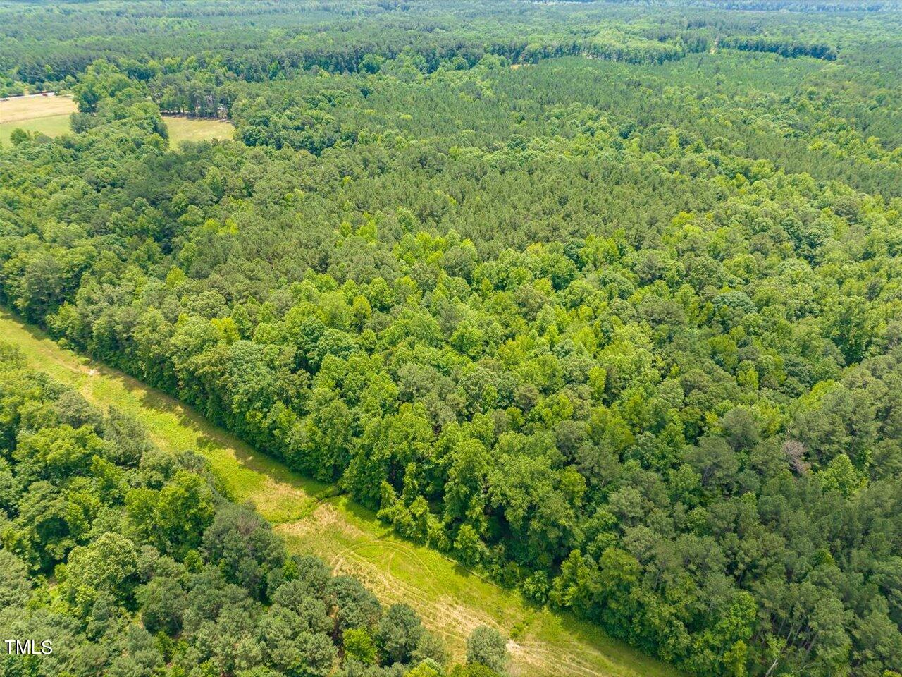 0 J B Morgan Road Apex, NC 27523 - Photo 22 of 39 a view of a big yard with plants and large trees